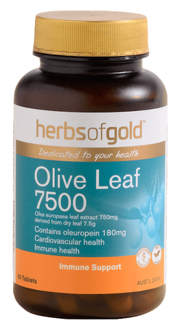 Herbs Of Gold Olive Leaf 7500 60T